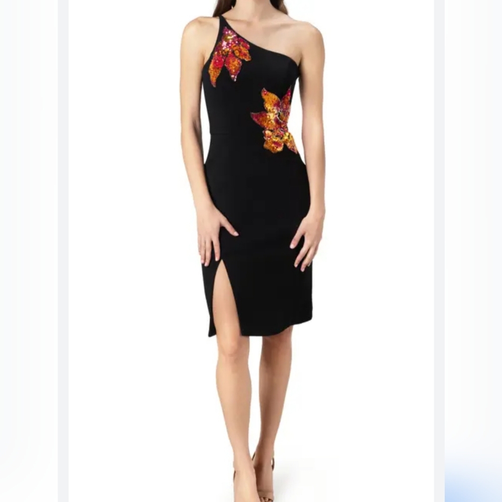 Women cocktail dress